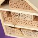 Insektenhotel basteln mit der BSG